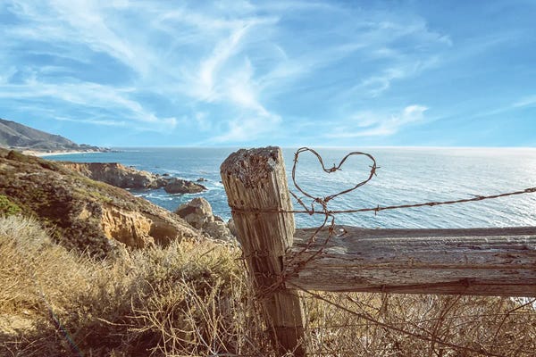 A Barb Wire Heart On The Coast