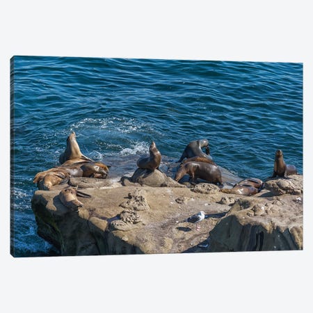 This Is Our Rock Canvas Print #JGL775} by Joseph S. Giacalone Canvas Art