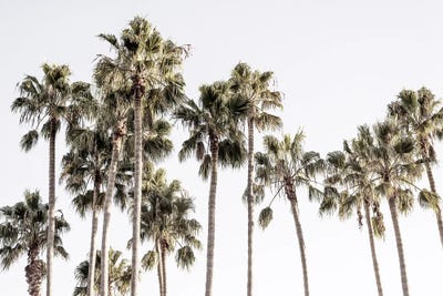 Up In The Sky by Joseph S. Giacalone acrylic art print