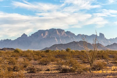 Arizona - Kofa National Wildlife Refuge by Joseph S. Giacalone multi panel art