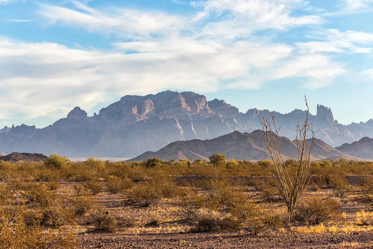 Arizona - Kofa National Wildlife Refuge