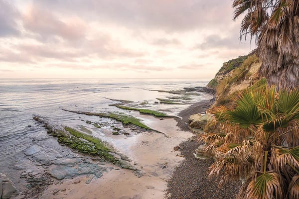 Beach Lover: Swami's Beach Coastal Perfection by Joseph S. Giacalone