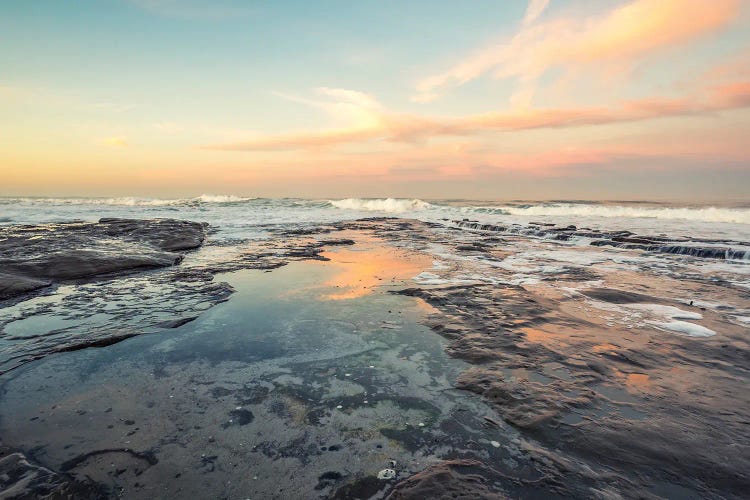 Reflections On The Reef - La Jolla Coast