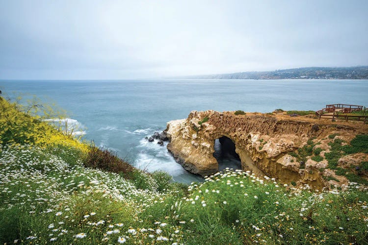 Springtime - La Jolla Coast