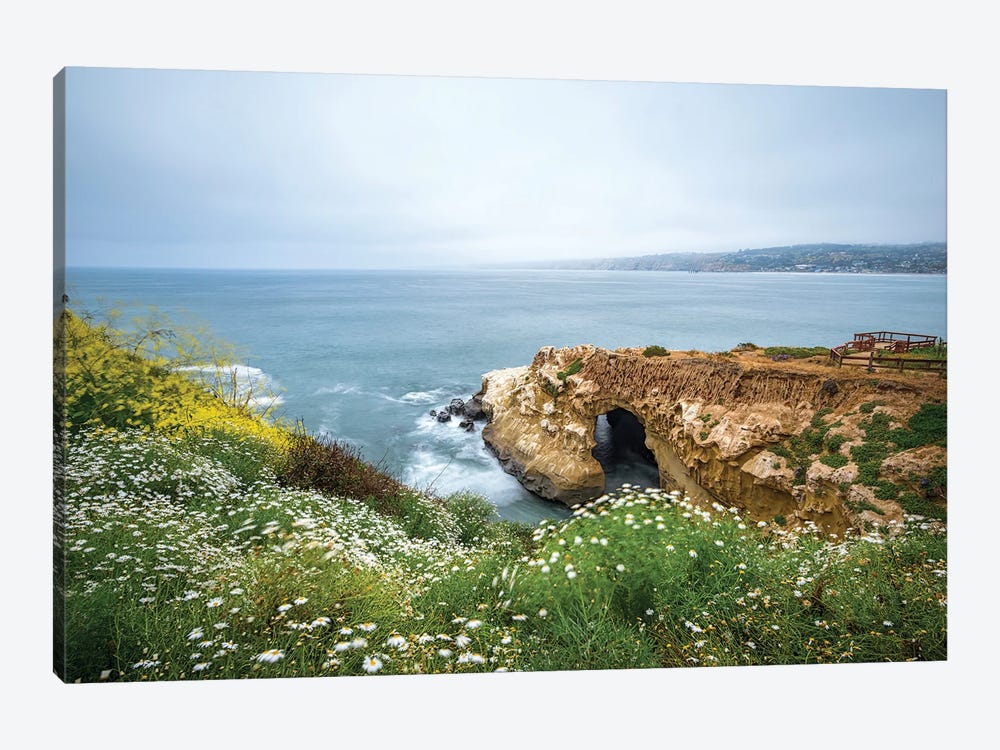 Springtime - La Jolla Coast by Joseph S. Giacalone 1-piece Canvas Print