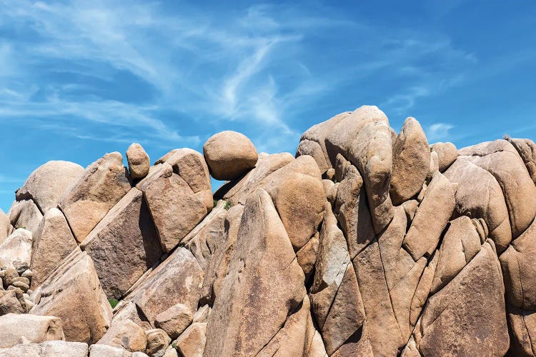 All Those Rocks - Joshua Tree National Park by Joseph S. Giacalone wall art