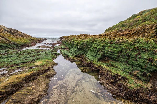 Spooner's Cove Reef And Rock