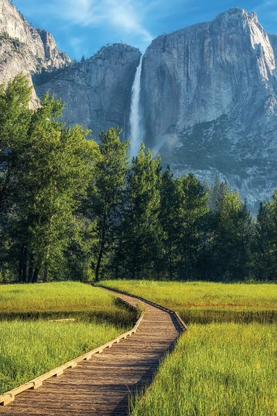 Yosemite National Park: Path In Yosemite Valley by Joseph S. Giacalone