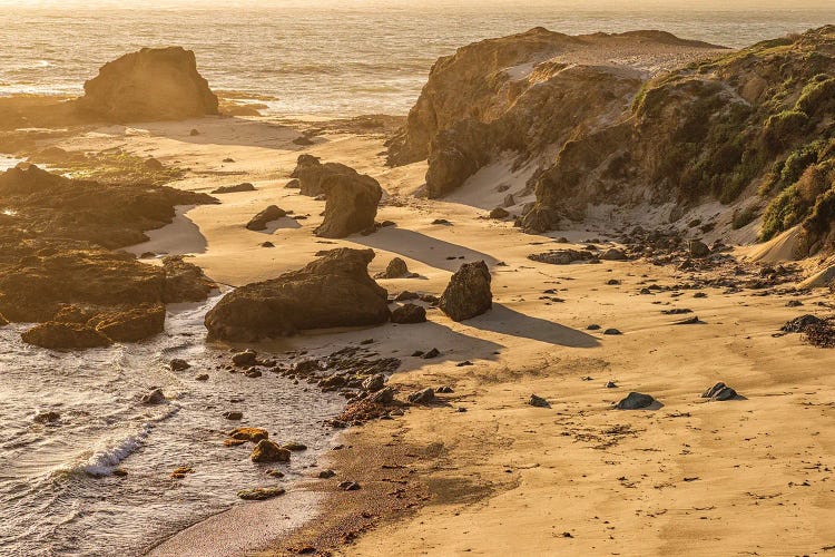 Big Sur Solitude