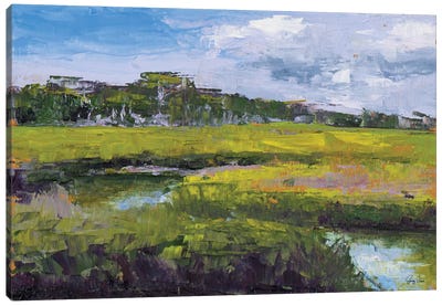 Meadow Canvas Art Print
