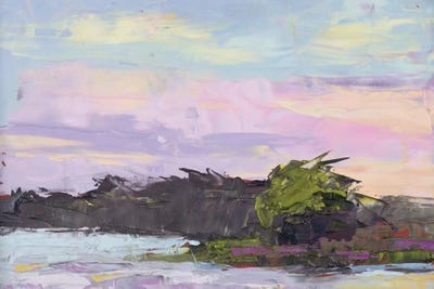 Georgia Skies by Jenny Green framed wall art