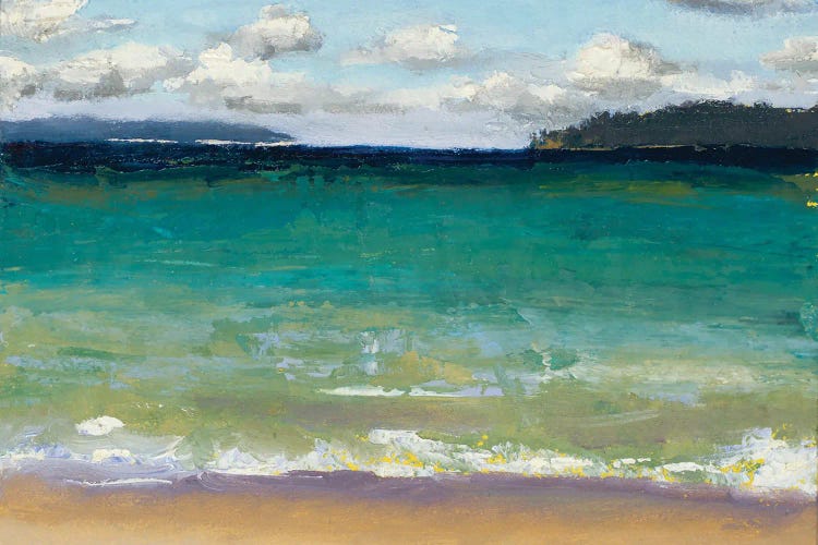 Caribbean Beaches by Jenny Green wall art