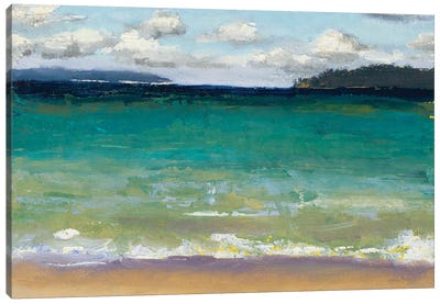 Caribbean Beaches Canvas Art Print