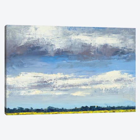 Cloud Coverage Canvas Print #JGN27} by Jenny Green Canvas Artwork