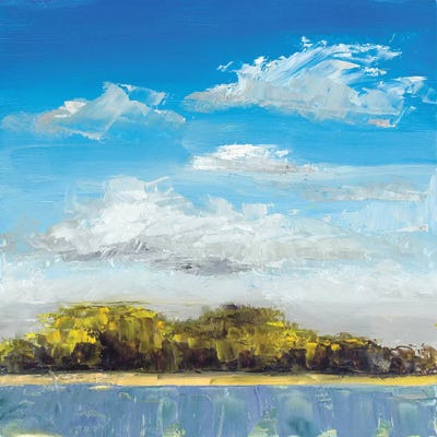 Approaching Shore by Jenny Green framed wall art