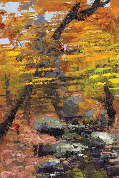 Autumn Woods by Jenny Green framed wall art