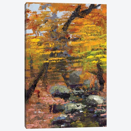 Autumn Woods Canvas Print #JGN4} by Jenny Green Canvas Print