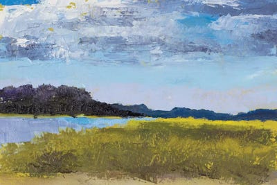 Blue Skies by Jenny Green framed wall art