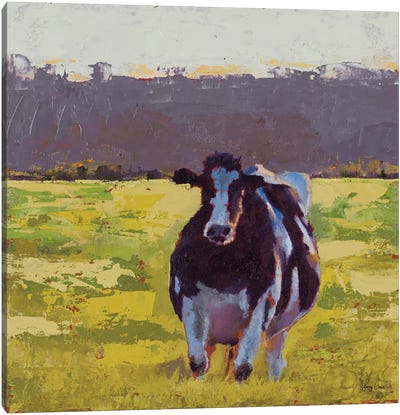 Fat Cow in the Field Canvas Art Print