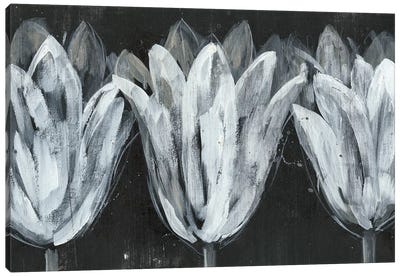White Trio on Black I Canvas Art Print - Tulip Art