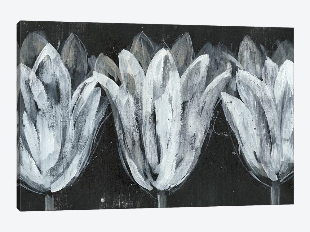 White Trio on Black I by Jennifer Goldberger 1-piece Canvas Art Print