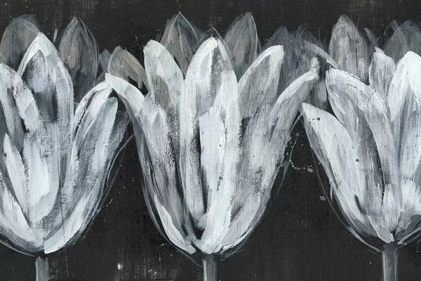 Black & White Florals: White Trio on Black I by Jennifer Goldberger