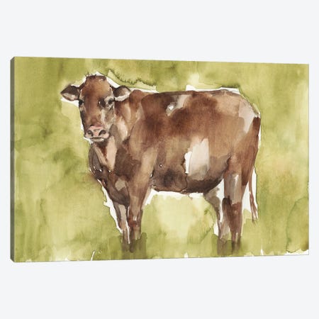 Cow in the Field II Canvas Print #JGO1062} by Jennifer Goldberger Art Print