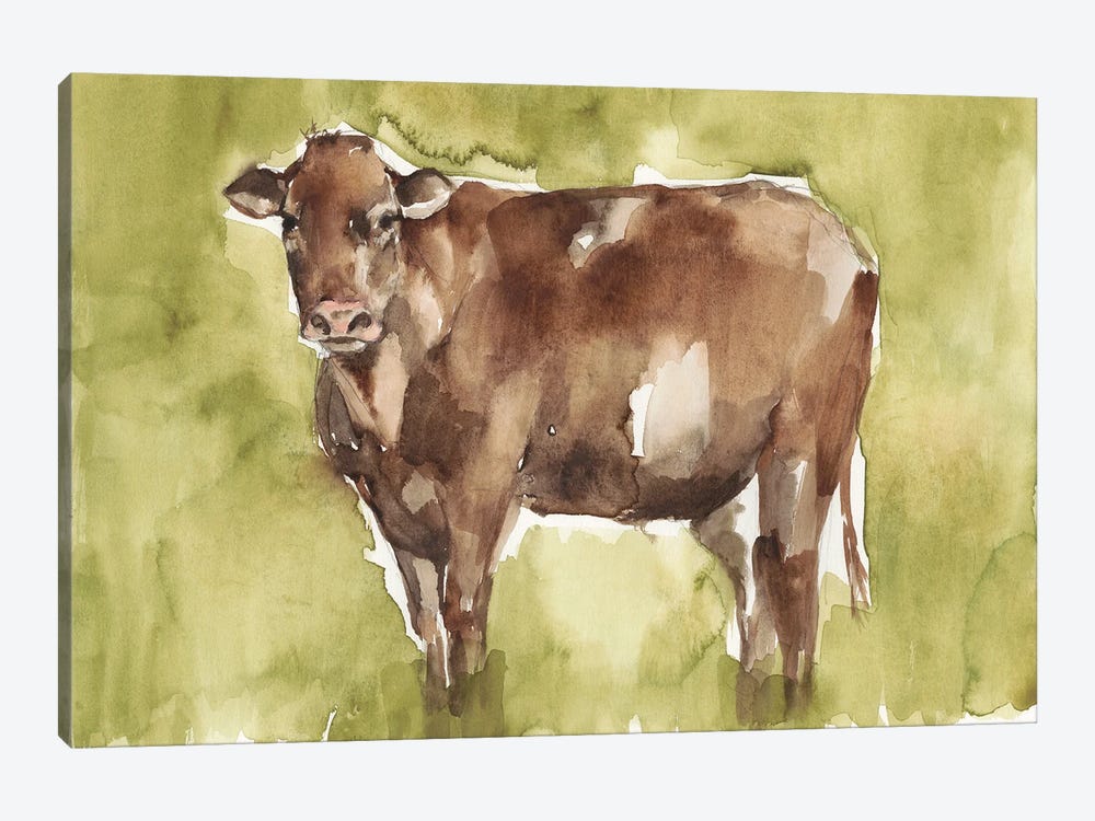 Cow in the Field II by Jennifer Goldberger 1-piece Canvas Print
