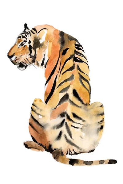 Sitting Tiger II by Jennifer Goldberger canvas print