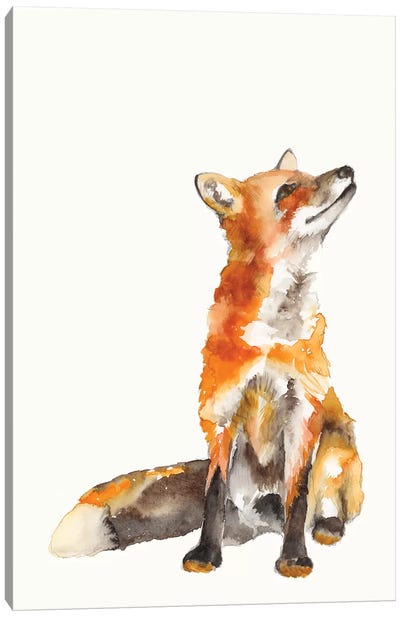 Sly Fox I Canvas Art Print - Jennifer Goldberger