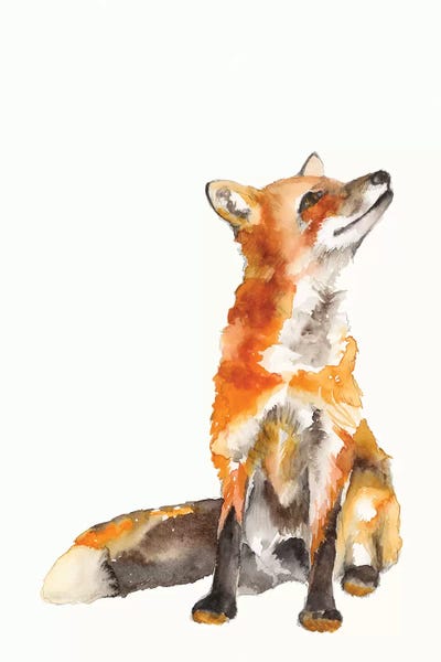 Foxes: Sly Fox I by Jennifer Goldberger