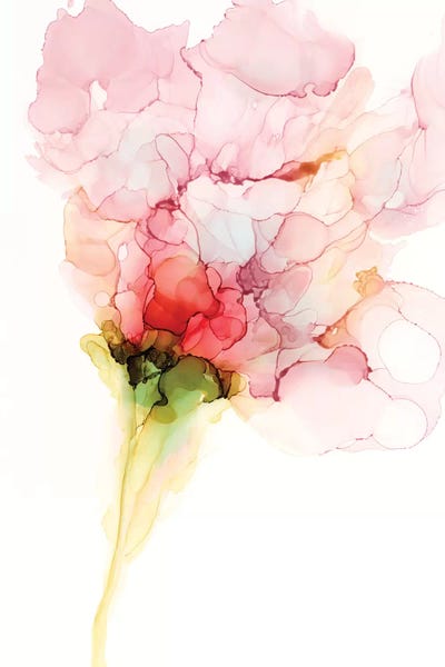 Flower Passion I by Jennifer Goldberger framed wall art