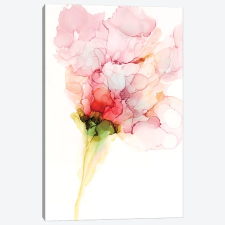 Flower Passion I Canvas Print #JGO1108} by Jennifer Goldberger Canvas Wall Art
