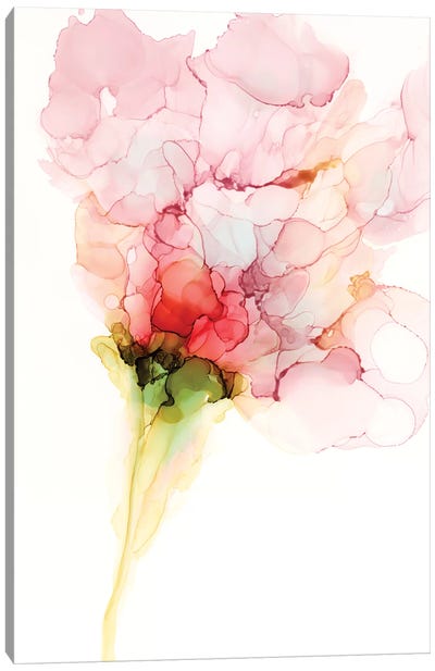 Flower Passion I Canvas Art Print - Jennifer Goldberger