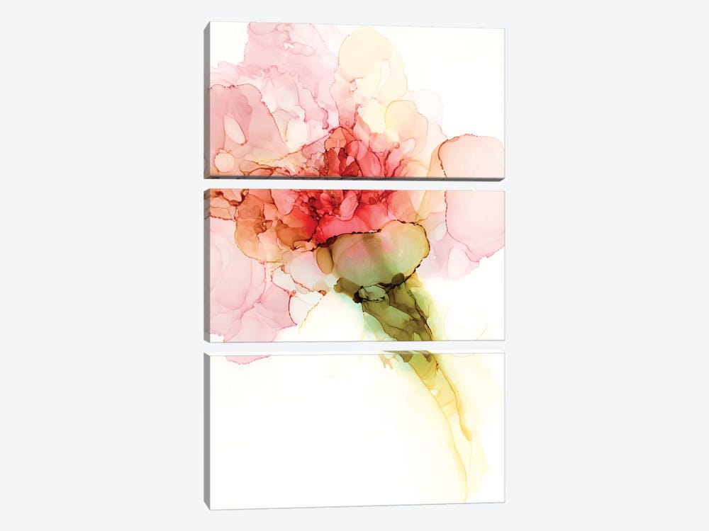 Flower Passion II by Jennifer Goldberger 3-piece Canvas Art Print