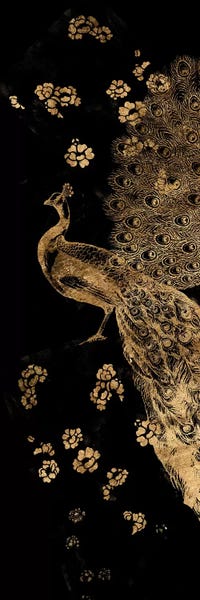 Peacocks: Gilded Peacock Triptych I by Jennifer Goldberger