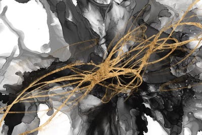 Golden Vortex I by Jennifer Goldberger framed wall art