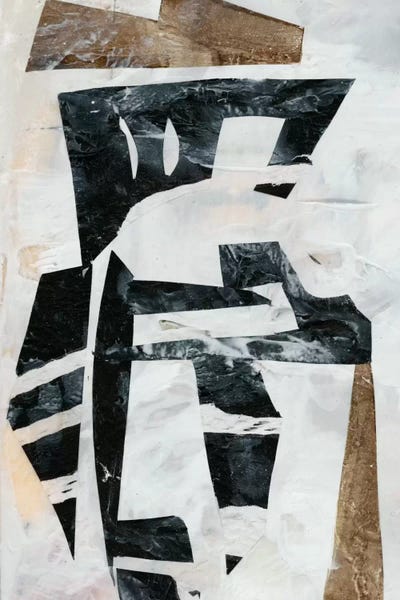 Tribal Collage I by Jennifer Goldberger framed canvas print