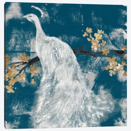 White Peacock on Indigo II Canvas Print #JGO1149} by Jennifer Goldberger Canvas Artwork