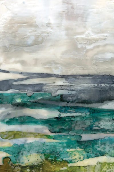 Crackled Marshland I by Jennifer Goldberger framed canvas print