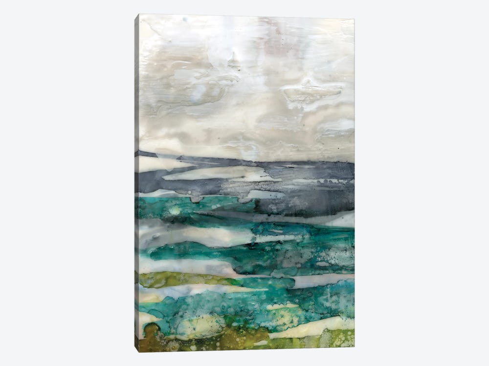 Crackled Marshland I by Jennifer Goldberger 1-piece Canvas Art