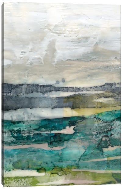 Crackled Marshland II Canvas Art Print - Jennifer Goldberger