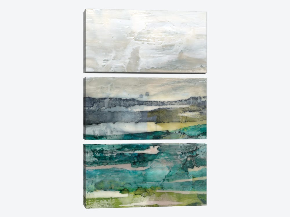 Crackled Marshland II by Jennifer Goldberger 3-piece Canvas Print