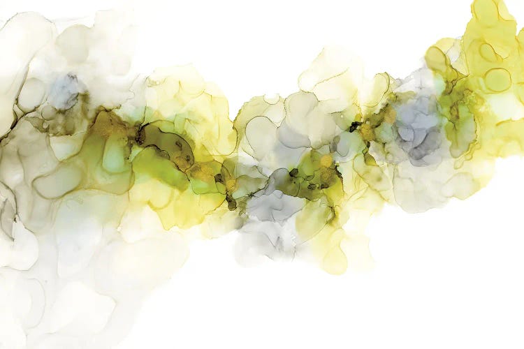 Emerging Mist II by Jennifer Goldberger wall art