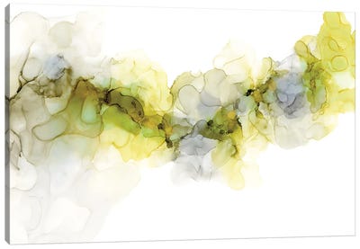 Emerging Mist II Canvas Art Print - Jennifer Goldberger