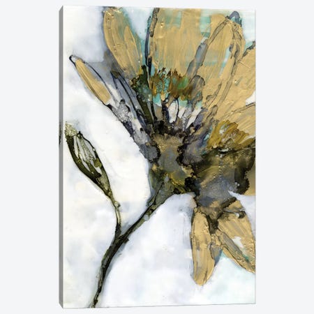 Flower Alloy I Canvas Print #JGO1171} by Jennifer Goldberger Art Print