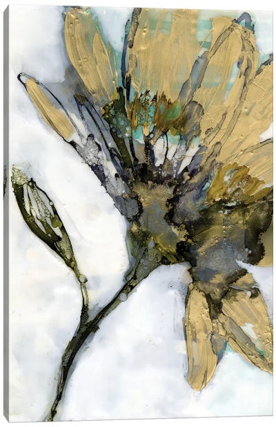 Flower Alloy I Canvas Art Print - Jennifer Goldberger