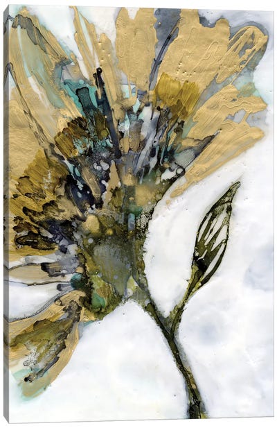 Flower Alloy II Canvas Art Print - Jennifer Goldberger