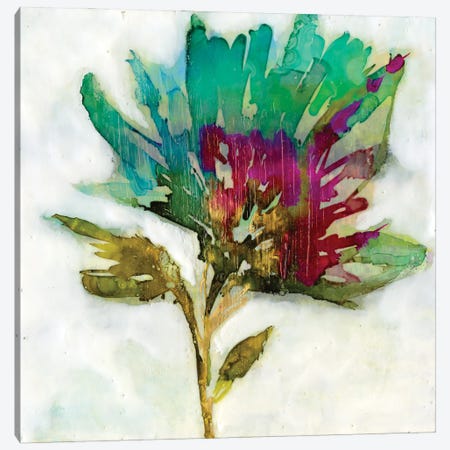 Fuchsia Splash I Canvas Print #JGO1185} by Jennifer Goldberger Canvas Art Print
