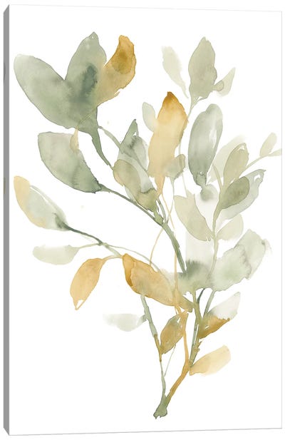 Sage & Sienna Leaves I Canvas Art Print - Jennifer Goldberger